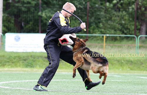 Schutzhund Dog Training Stick